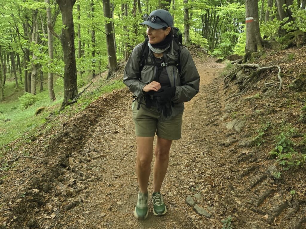 Camino guide, planning, booking accommodation, preparing, choosing a route